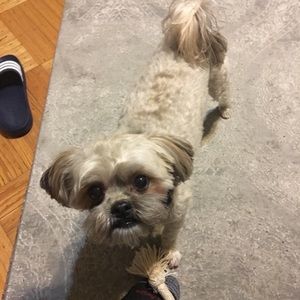 Meet your Posher, Robert